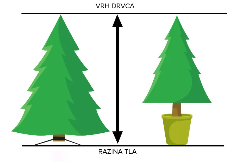 Kako se mjeri visina božićnog drvca — od razine tla do vrha drvca